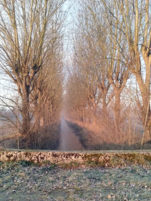 Le ru « chenalisé » le 6 septembre 2018